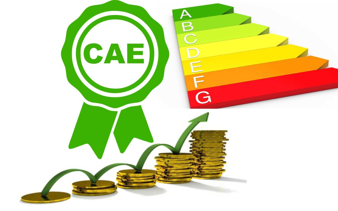 cae